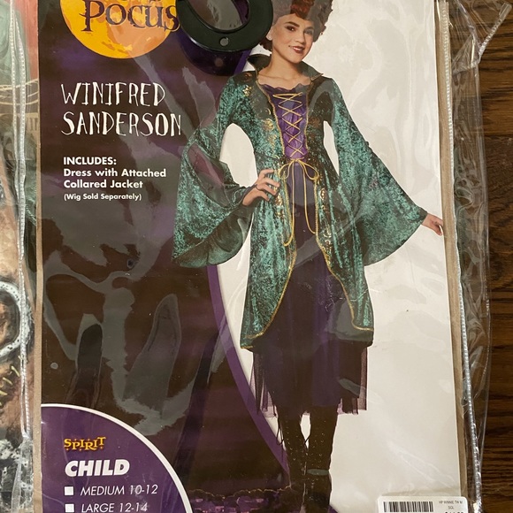 Winifred Sanderson hocus pocus costume - Picture 8 of 16
